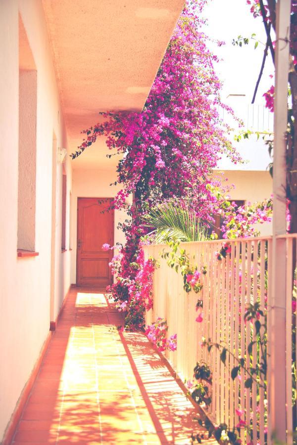 El Penell Apartament Llevant Vilamaniscle Luaran gambar