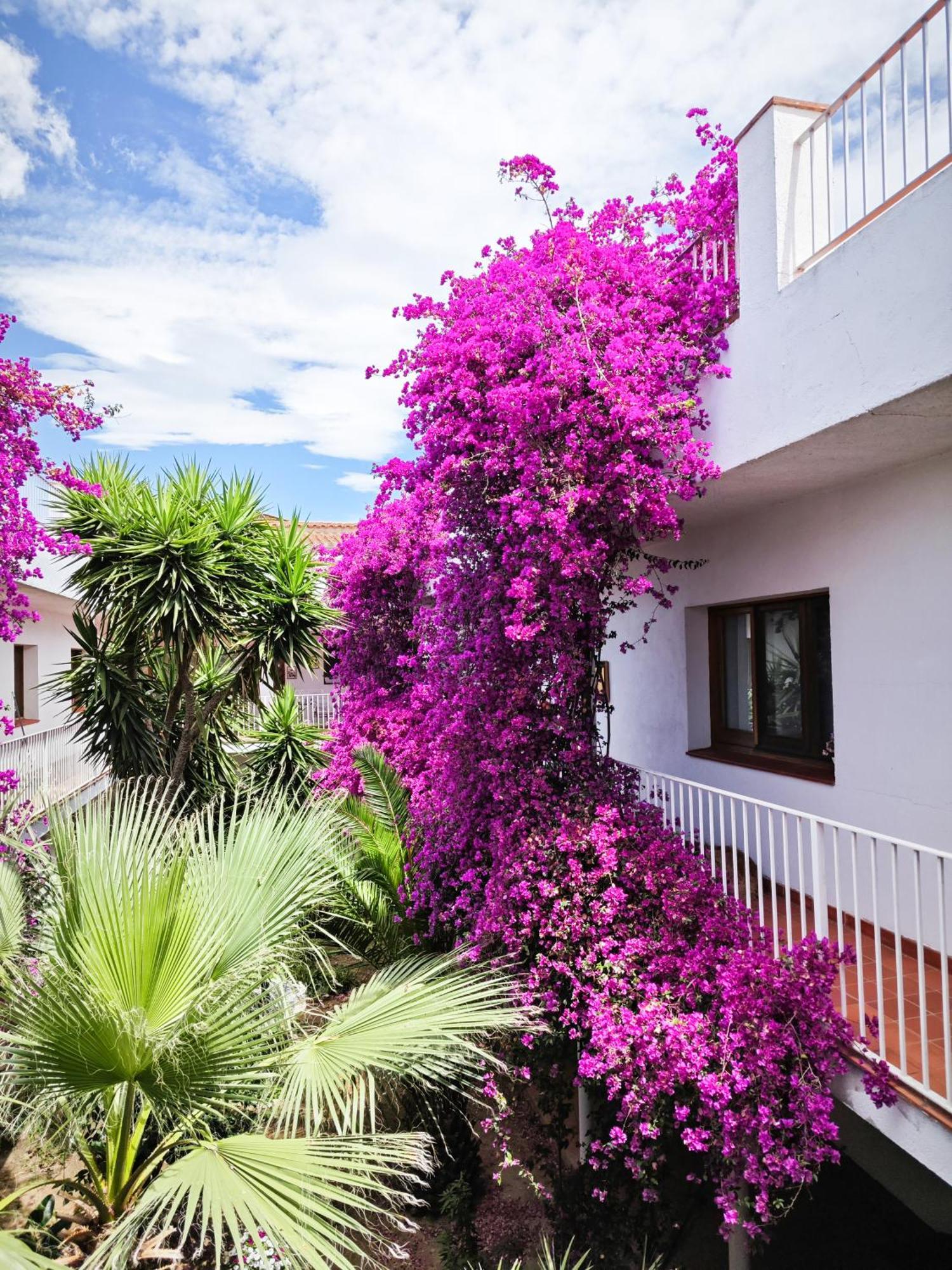 El Penell Apartament Llevant Vilamaniscle Luaran gambar